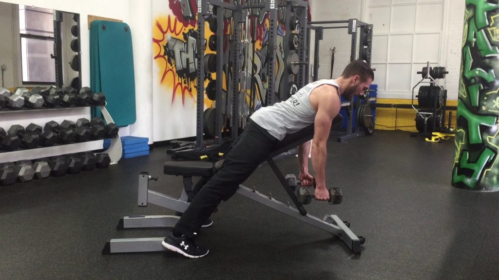 9 Teknik Terbaik Latihan Dumbbell Back Untuk Membentuk Otot Sempurna 2 Batwing row workouts