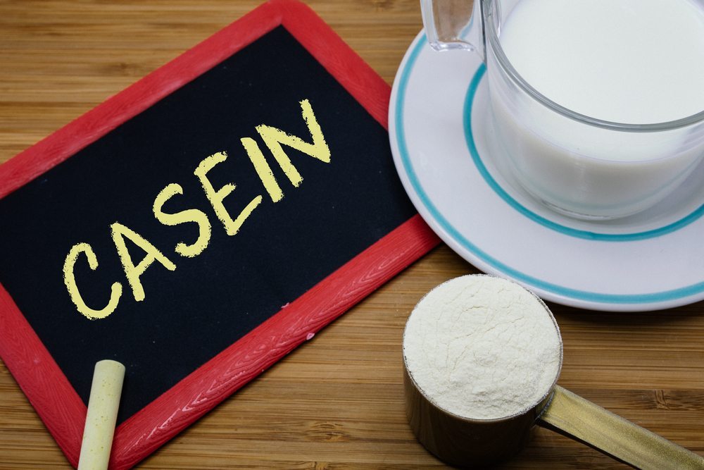 CASEIN PROTEIN